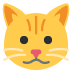 Cat squishy