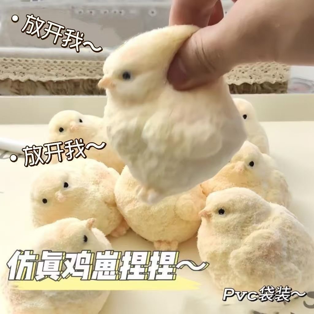 Flocked Chick Squishy — supplier product view